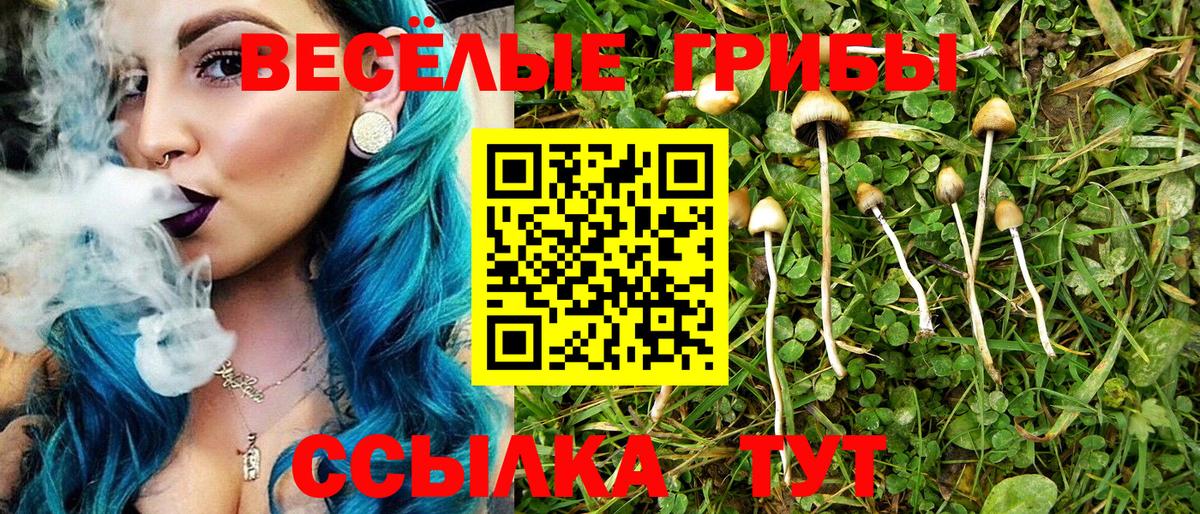 Галлюциногенные грибы ЛСД Гусев