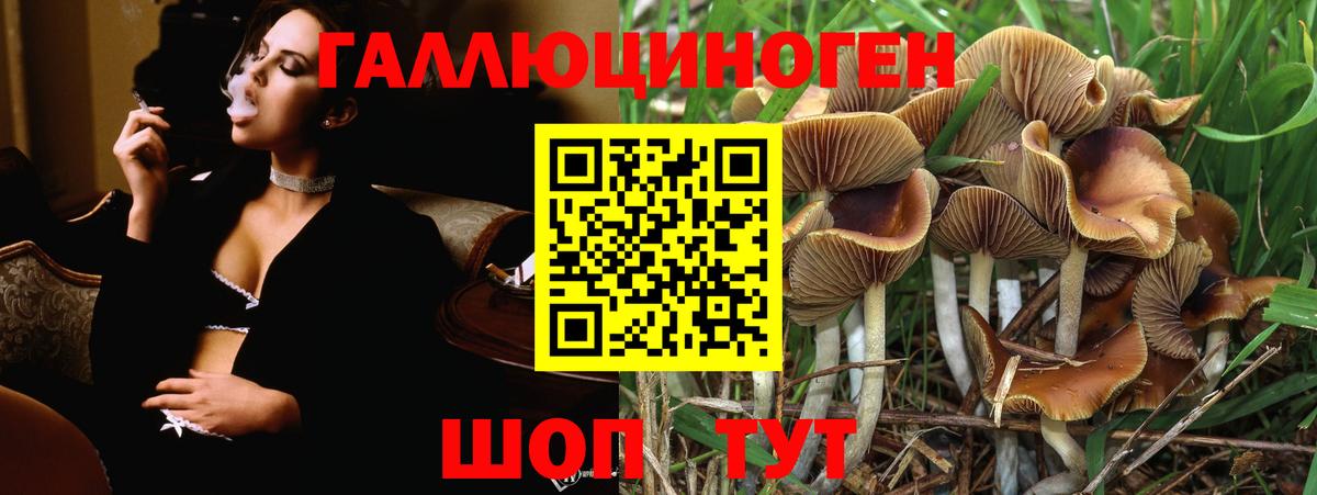 Гусев  Галлюциногенные грибы GOLDEN TEACHER  цена наркотик  Вход с VPN 